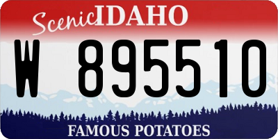 ID license plate W895510
