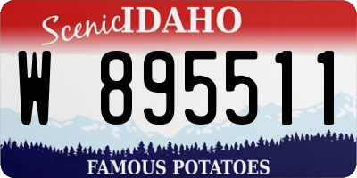 ID license plate W895511