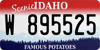 ID license plate W895525