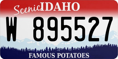 ID license plate W895527