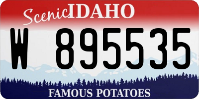 ID license plate W895535