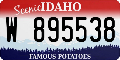 ID license plate W895538