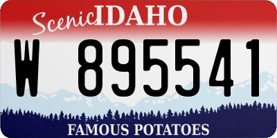 ID license plate W895541