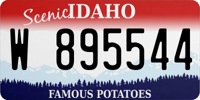 ID license plate W895544