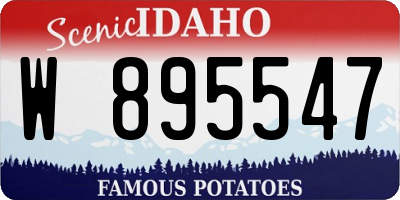 ID license plate W895547