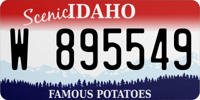 ID license plate W895549