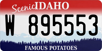ID license plate W895553
