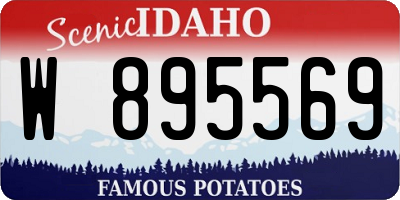 ID license plate W895569