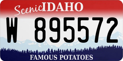 ID license plate W895572