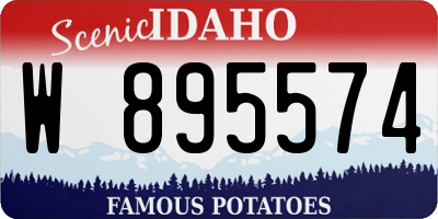 ID license plate W895574