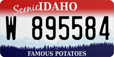 ID license plate W895584