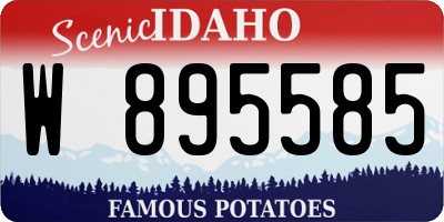 ID license plate W895585