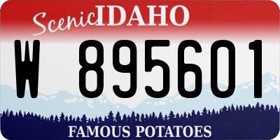 ID license plate W895601