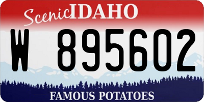 ID license plate W895602