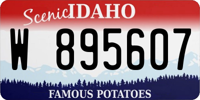 ID license plate W895607