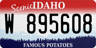 ID license plate W895608