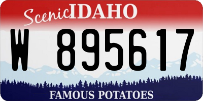 ID license plate W895617