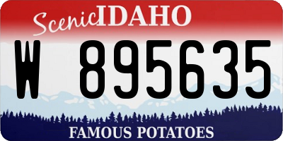 ID license plate W895635