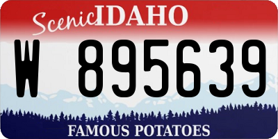 ID license plate W895639