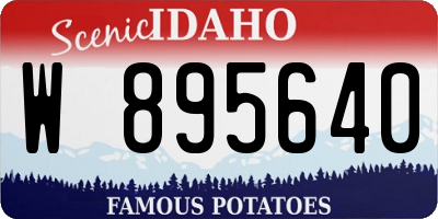 ID license plate W895640