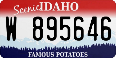 ID license plate W895646