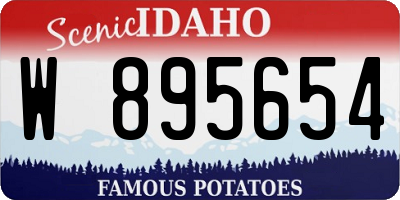 ID license plate W895654