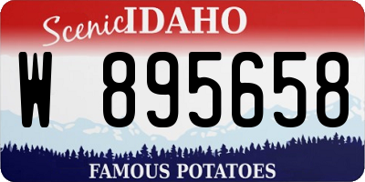 ID license plate W895658