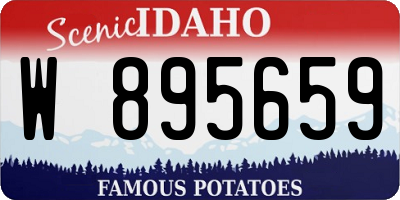 ID license plate W895659