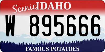 ID license plate W895666
