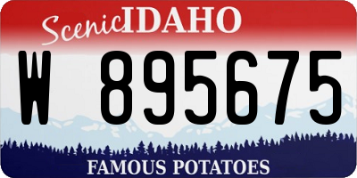 ID license plate W895675