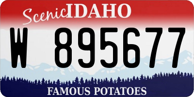 ID license plate W895677