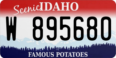 ID license plate W895680