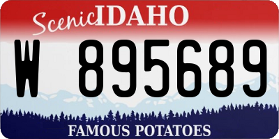 ID license plate W895689