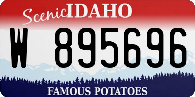 ID license plate W895696
