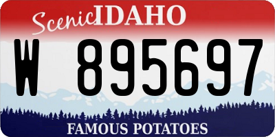 ID license plate W895697
