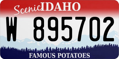 ID license plate W895702