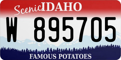 ID license plate W895705