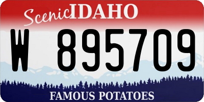 ID license plate W895709