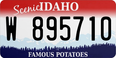 ID license plate W895710