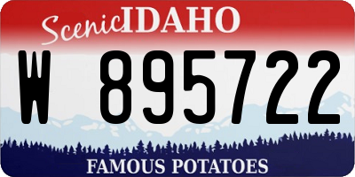 ID license plate W895722