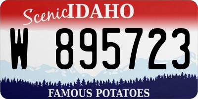 ID license plate W895723