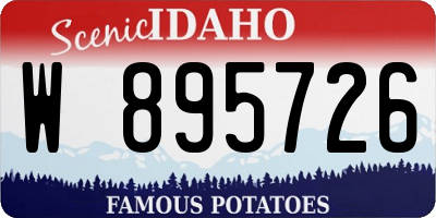 ID license plate W895726