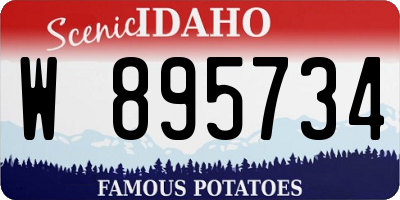 ID license plate W895734