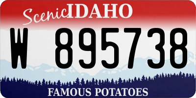 ID license plate W895738