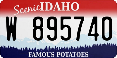 ID license plate W895740