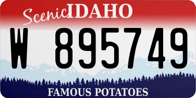ID license plate W895749