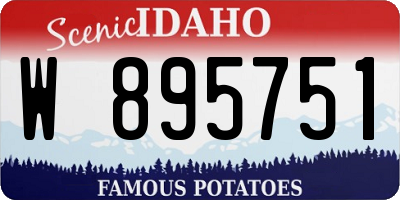 ID license plate W895751