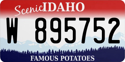 ID license plate W895752