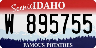 ID license plate W895755