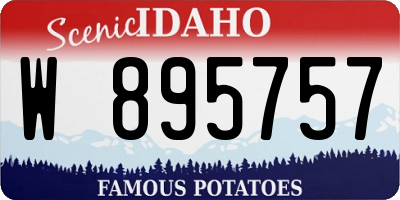 ID license plate W895757